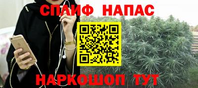 apvp Будённовск