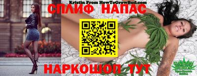 apvp Будённовск