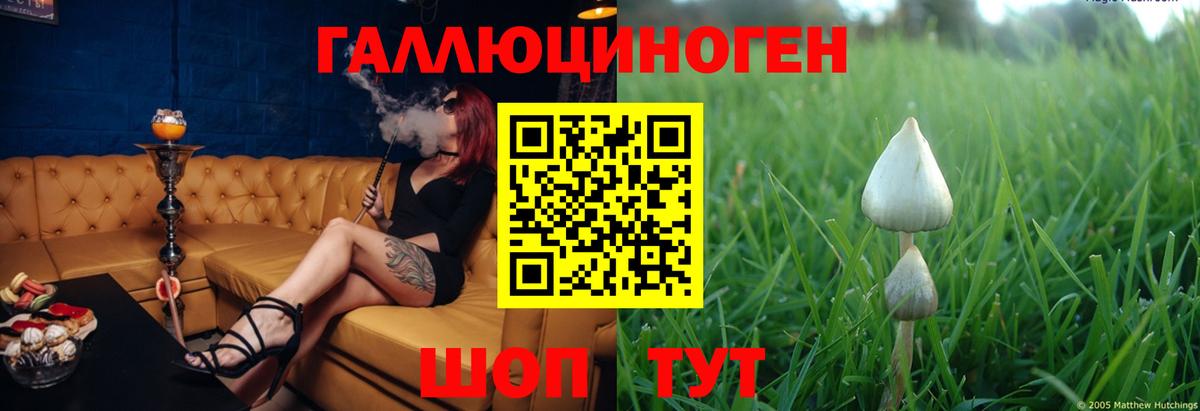 Саров  купить  цена  Вход с VPN  Галлюциногенные грибы Psilocybine cubensis  Псилоцибиновые грибы Cubensis 
