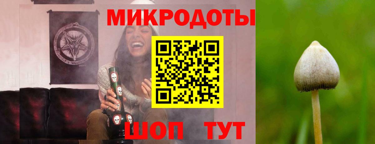 Галлюциногенные грибы мухоморы Саров